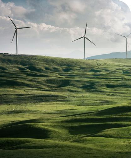 grass field with wind turbines